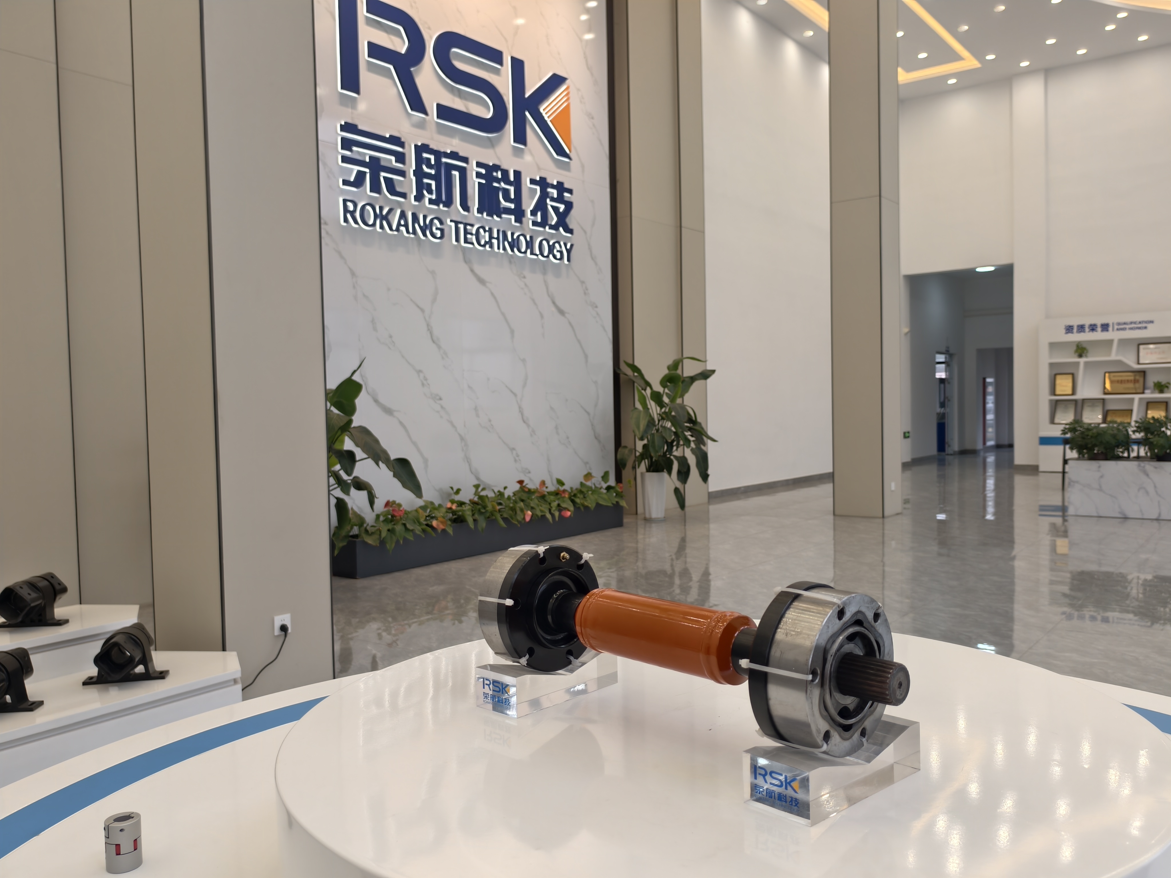 RSK-BJDF Yüksek performanslı endüstri CV Ortak Sabit Tip Üretimi